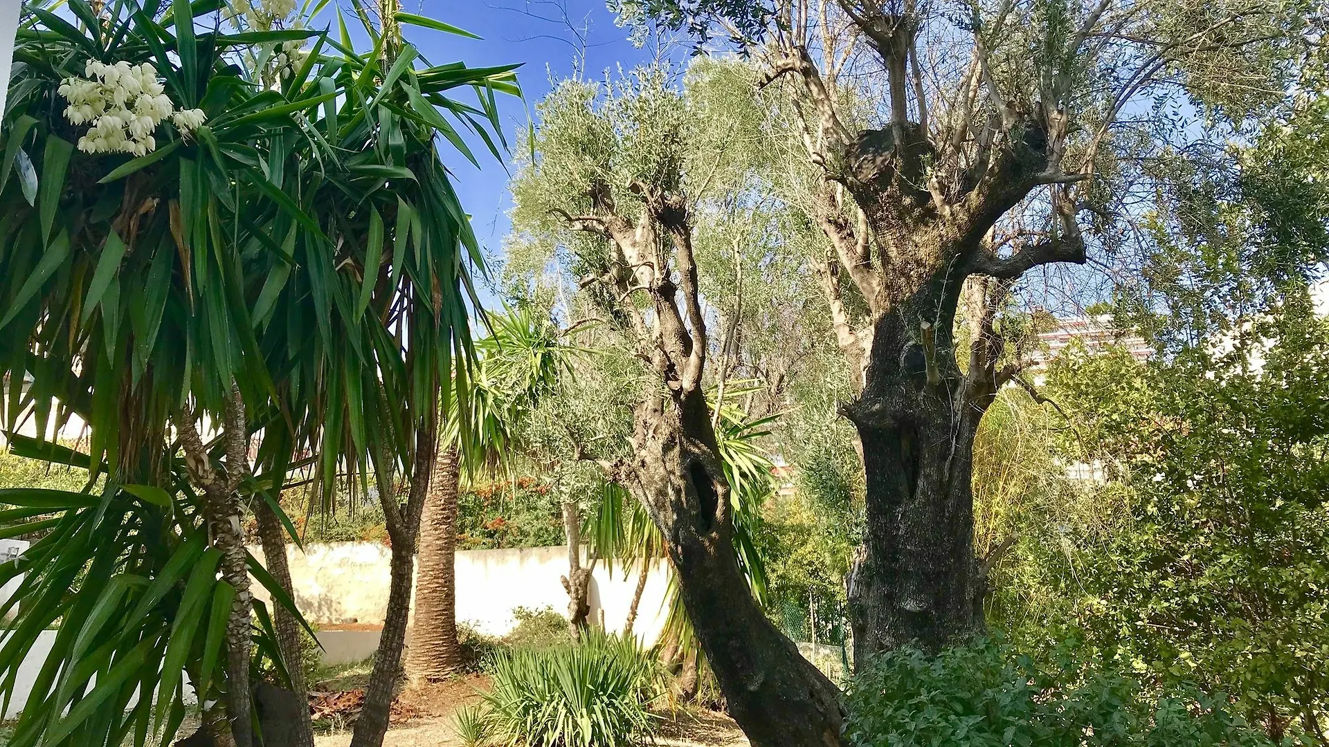 Villa Californienne Nice