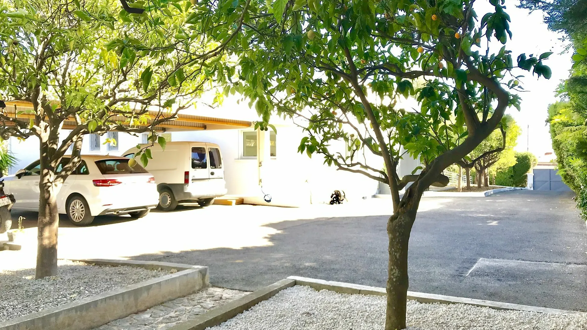 Villa Californienne Nice France